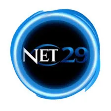 net29 APK Bingo